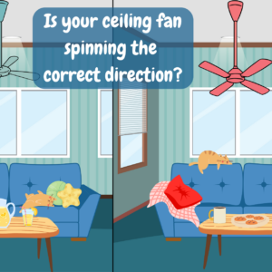 Is Your Ceiling Fan Spinning The Correct Direction For The Season?