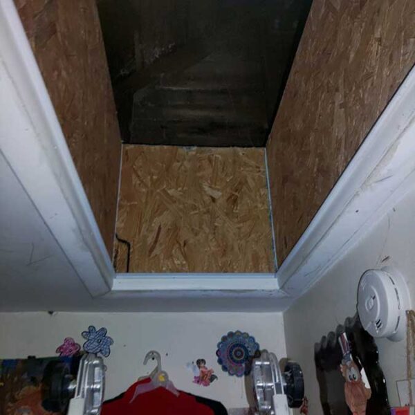 Attic entry